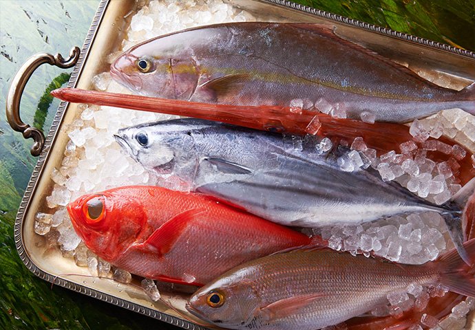 魚