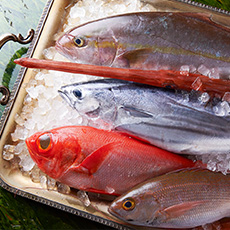 直送鮮魚